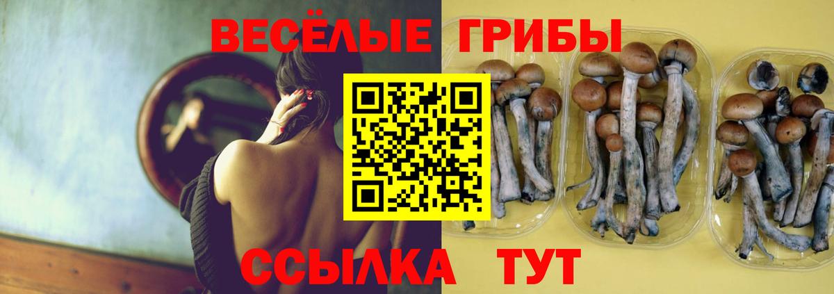 Славянск-на-Кубани  Галлюциногенные грибы мицелий  Вход с VPN 